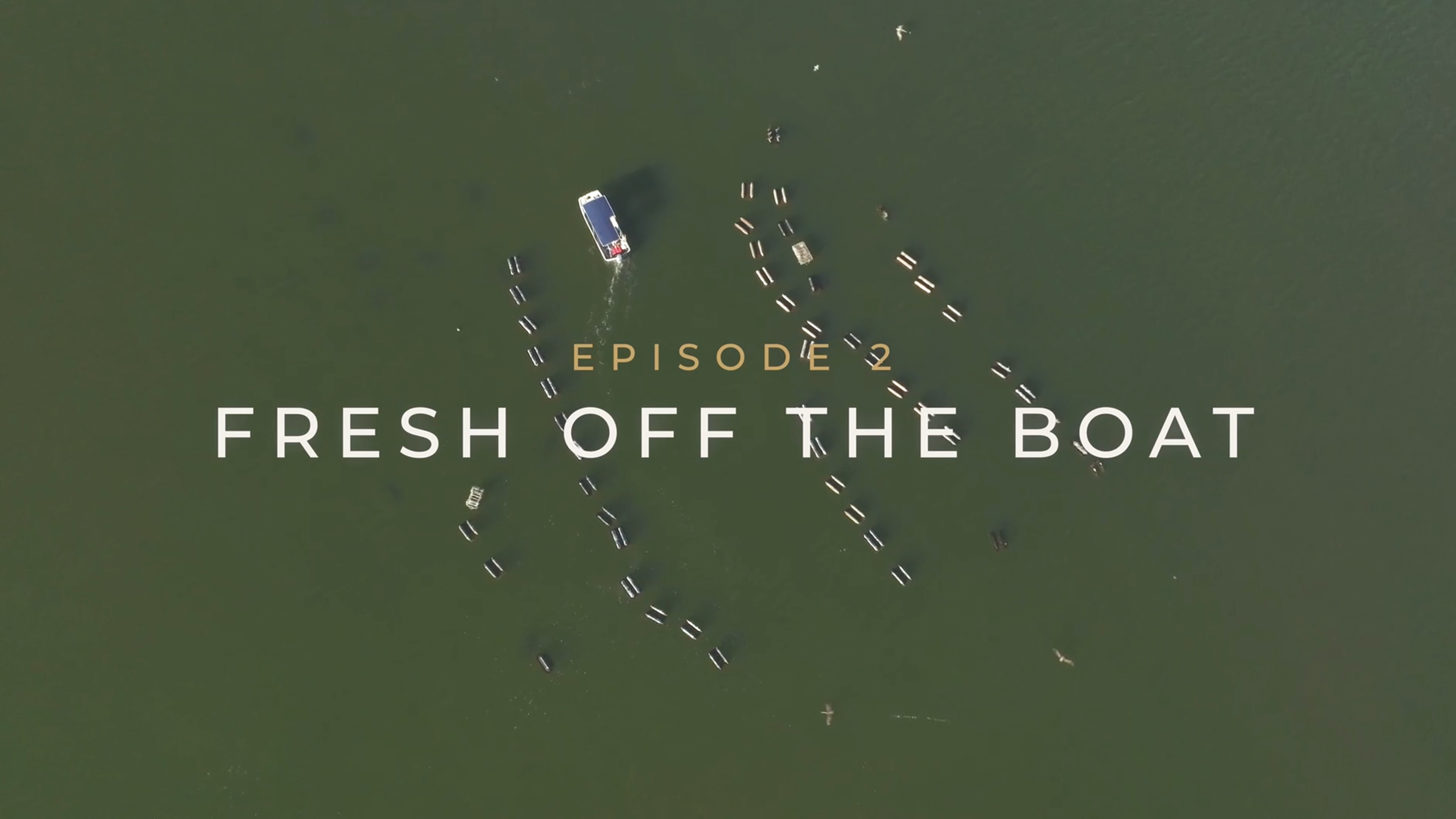 Savoring Tampa - Ep. 2: Fresh Off the Boat