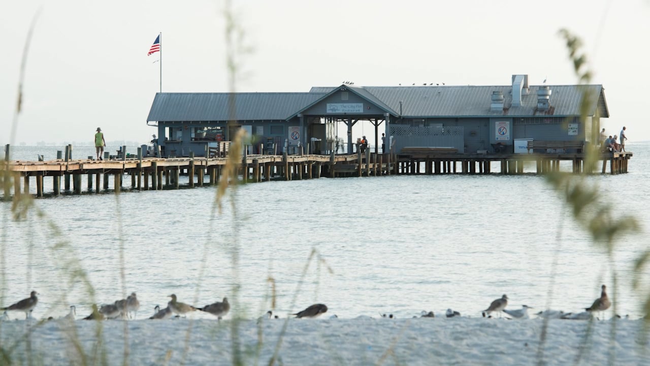 Great Locations: Manatee County