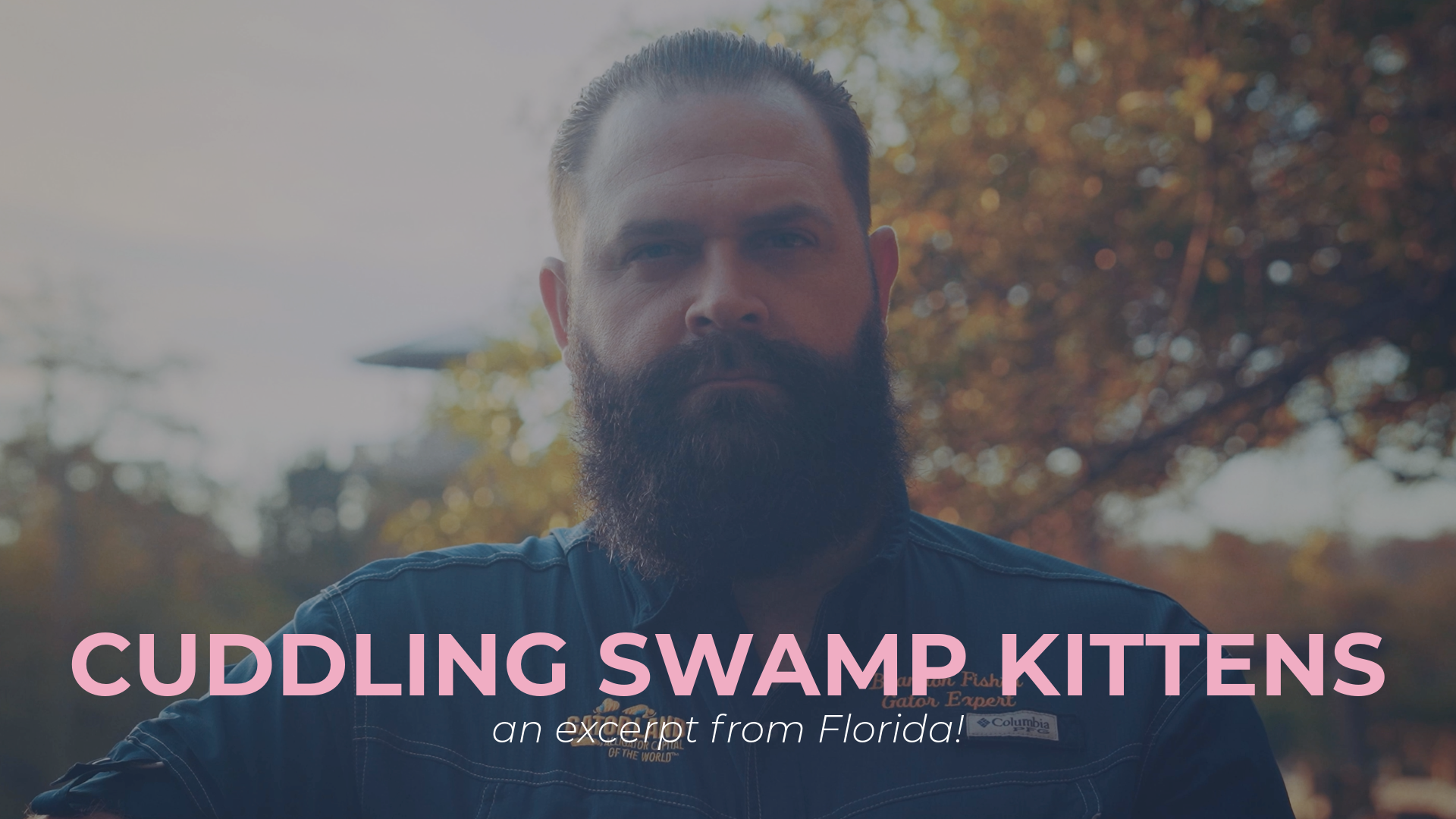 Cuddling Swamp Kittens