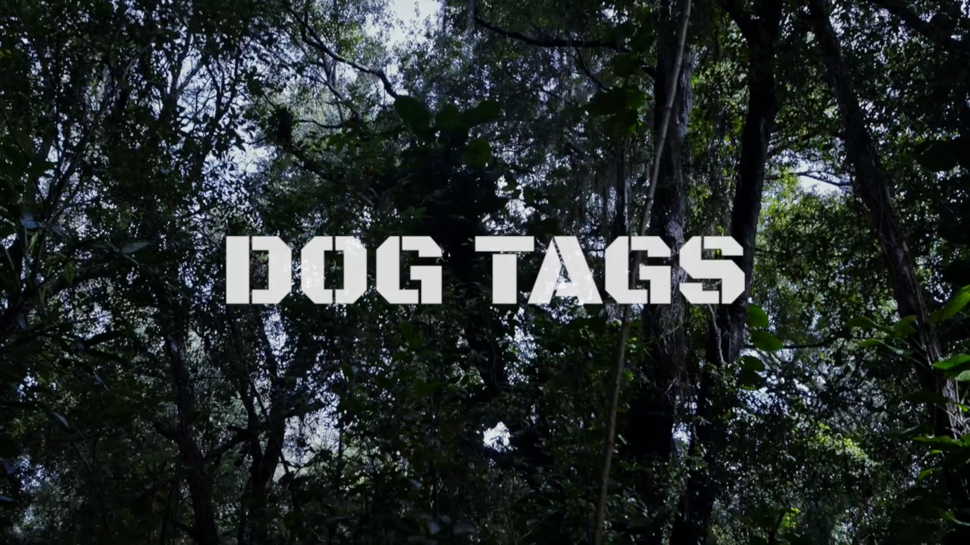 Dog Tags