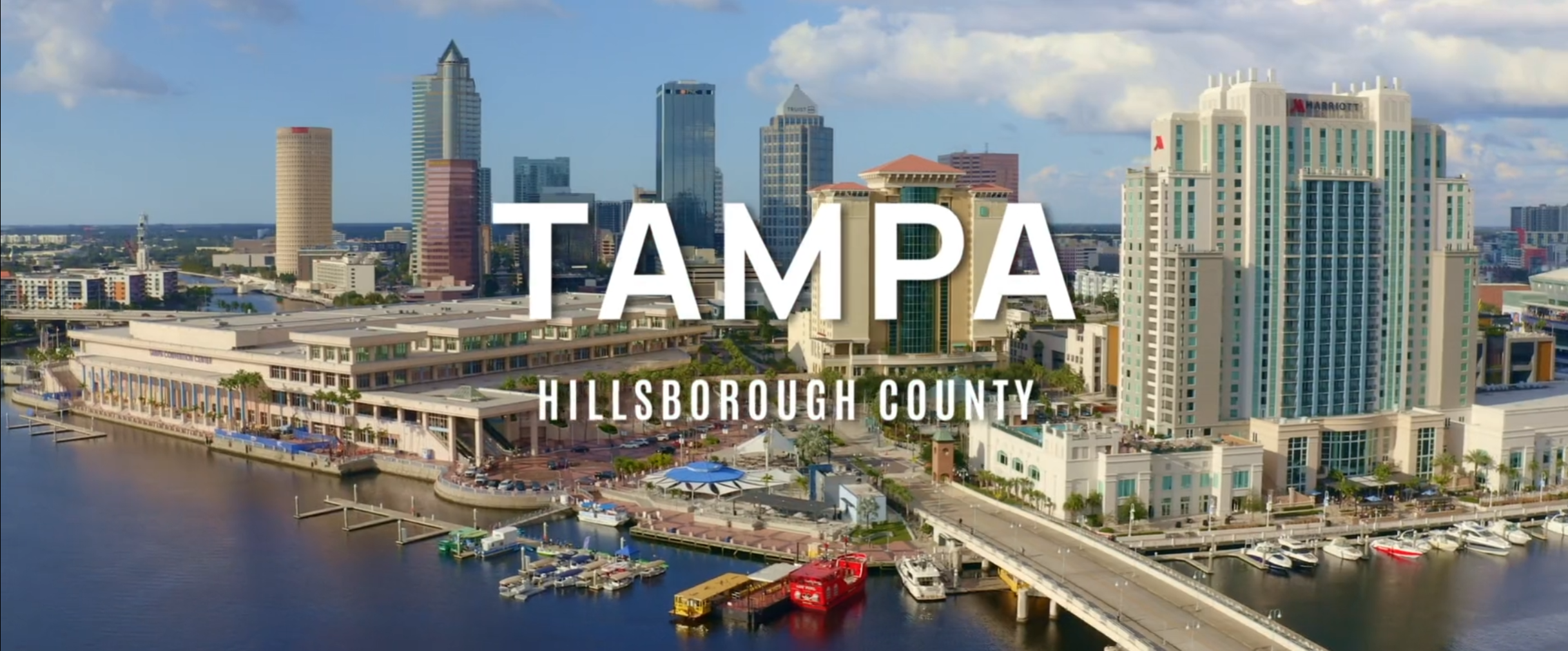 Welcome to Tampa Bay