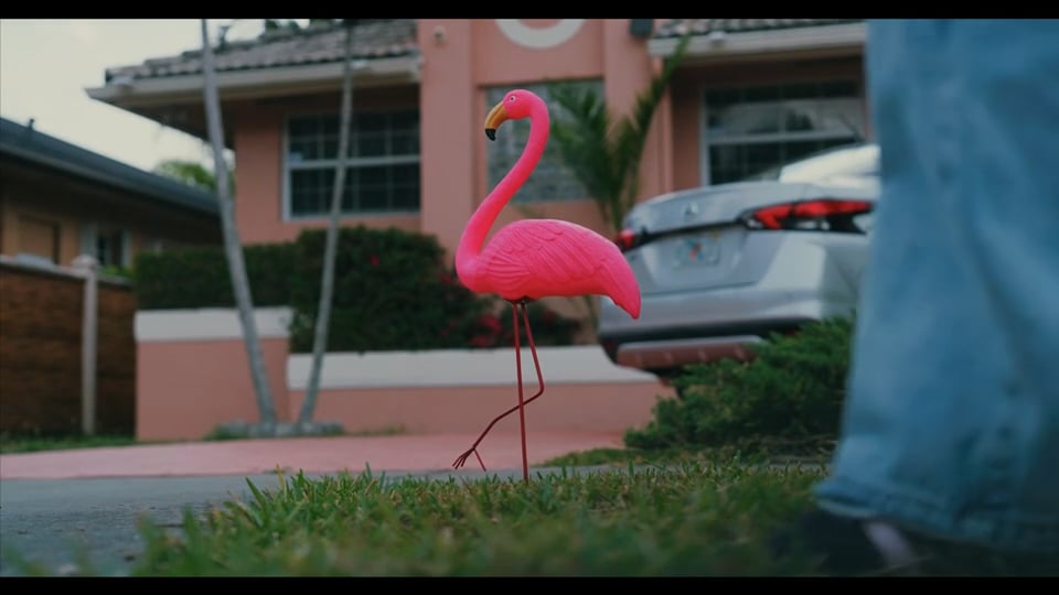 PinkFlamingo