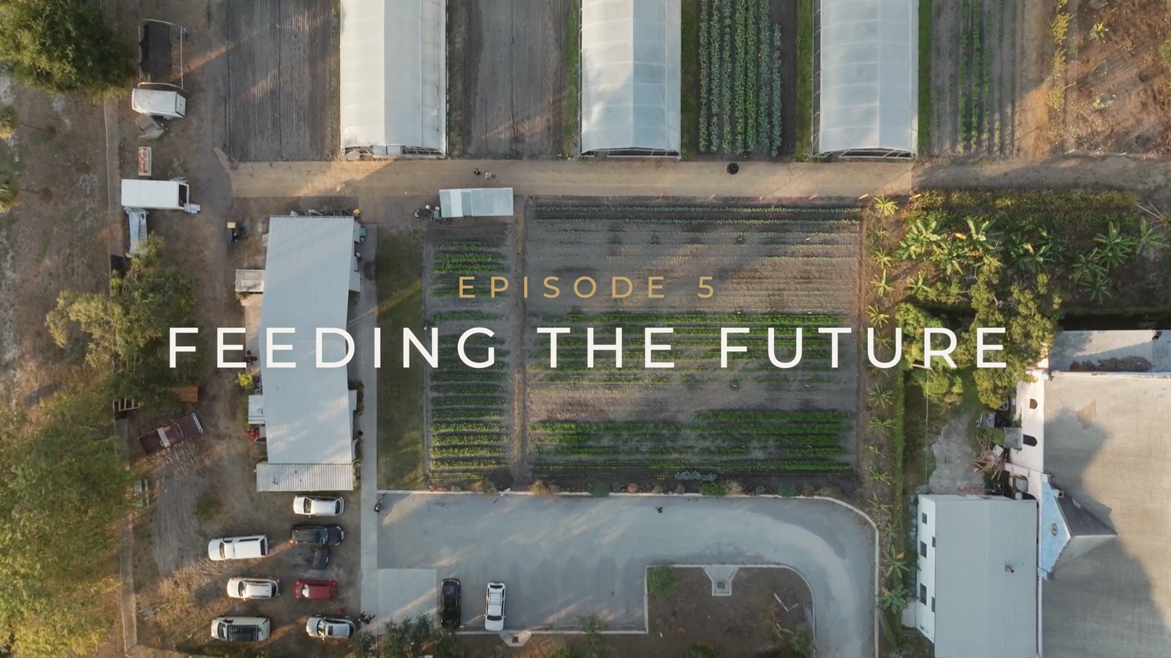 Savoring Tampa - Ep. 5: Feeding The Future