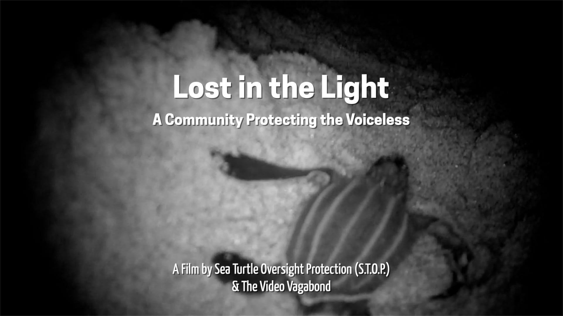 Lost in the Light