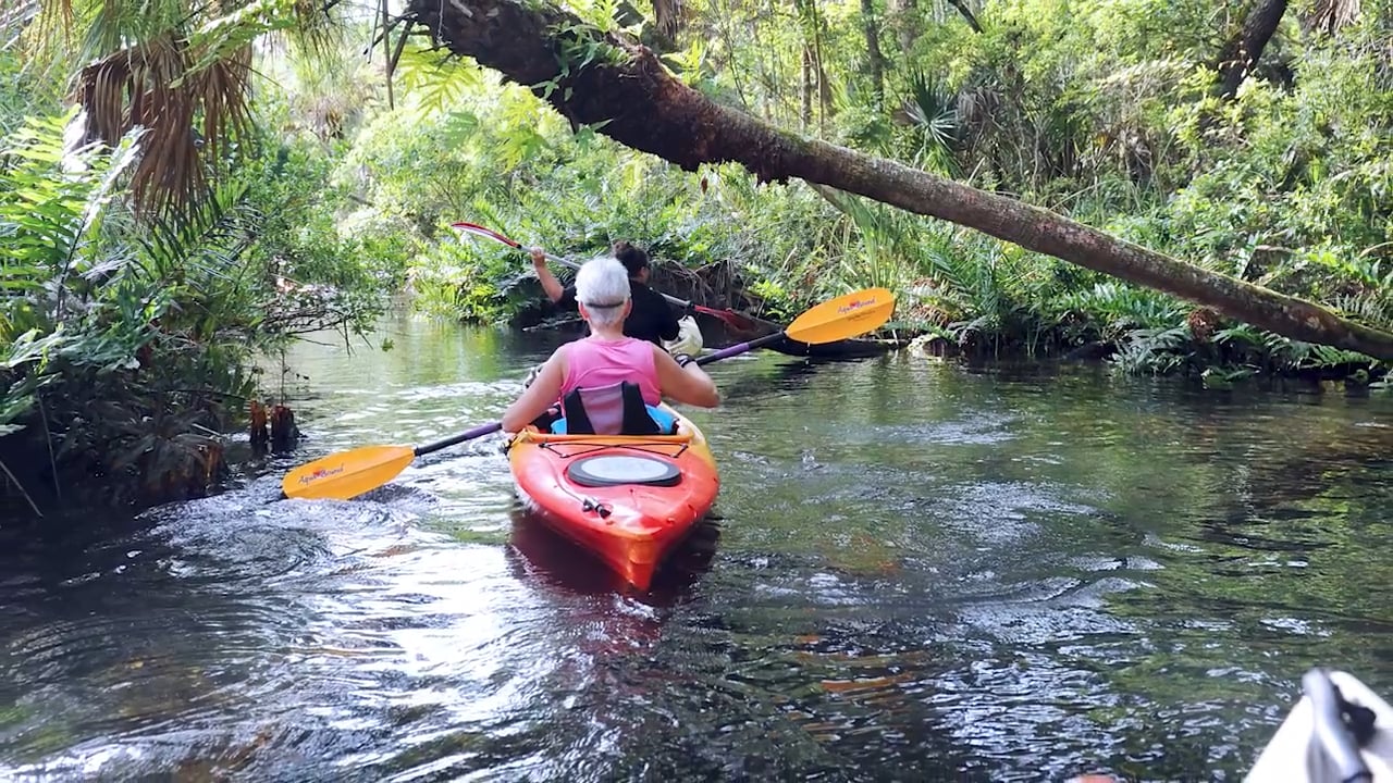 Great Locations: Citrus County