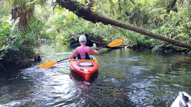 Great Locations: Citrus County