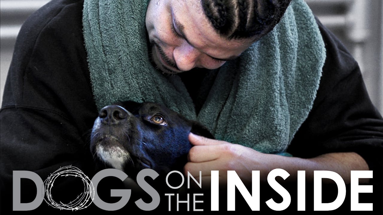 DOGS ON THE INSIDE
