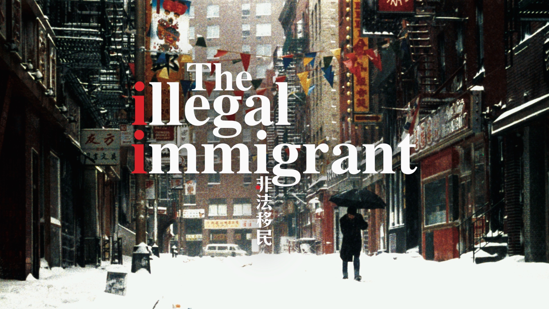 The Illegal Immigrant