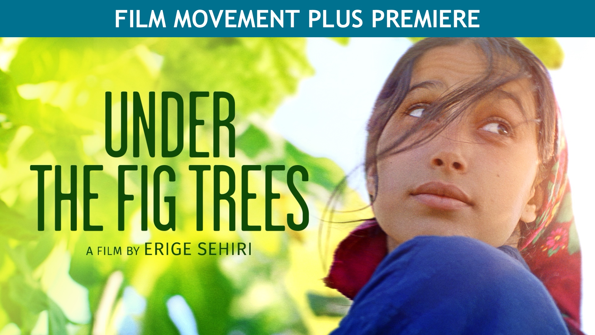 Under the Fig Trees