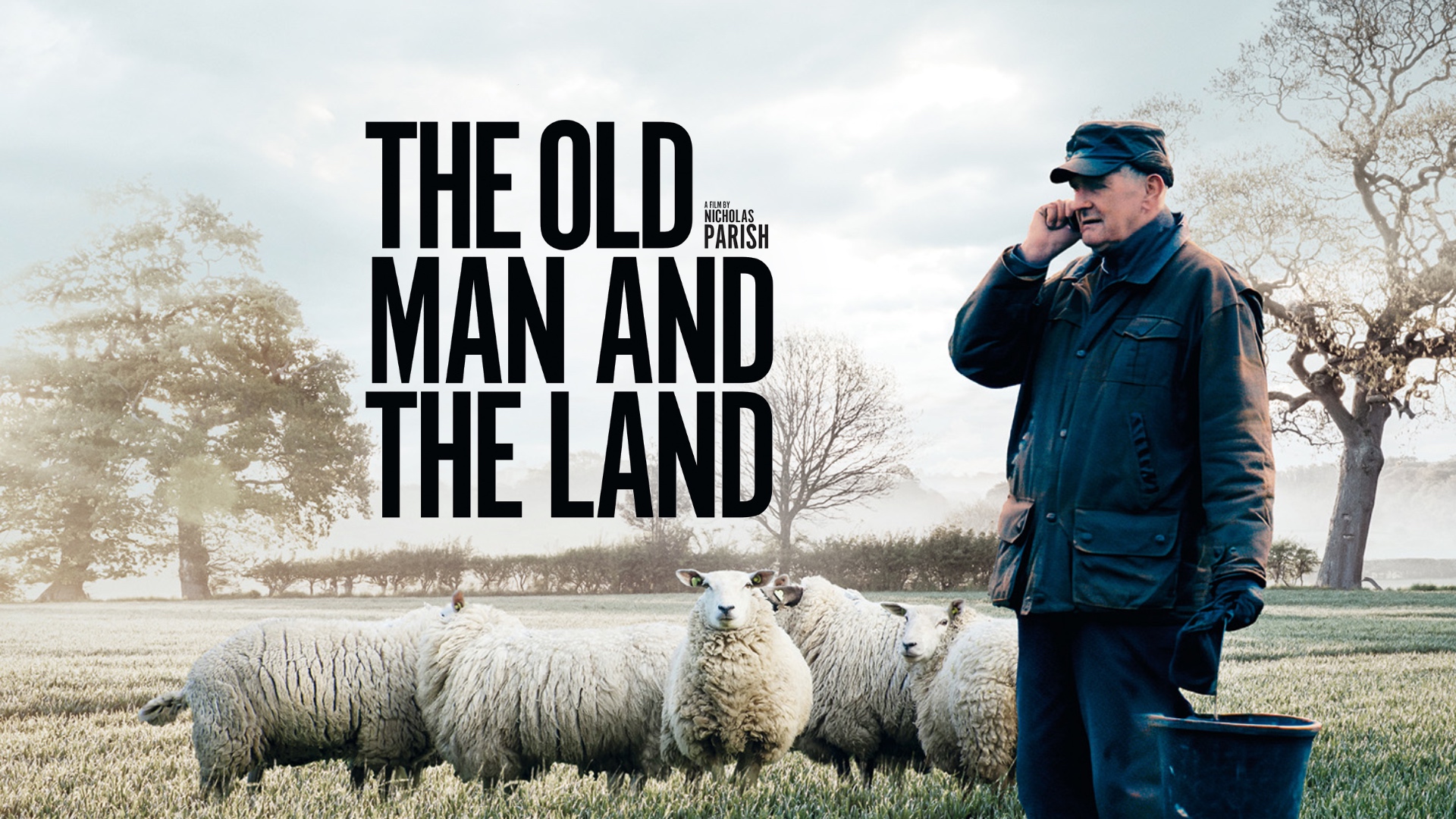The Old Man and the Land