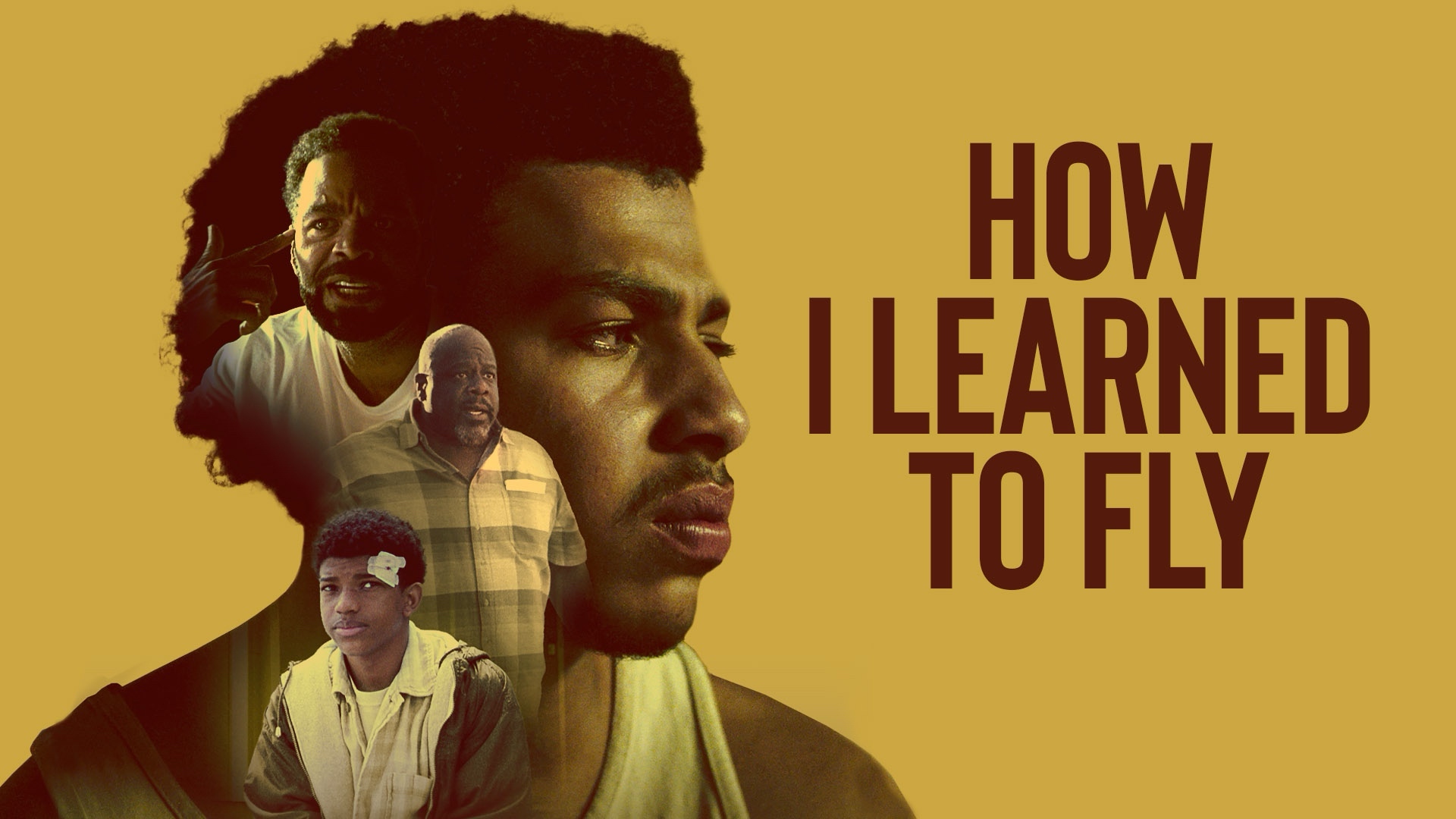 How I Learned to Fly