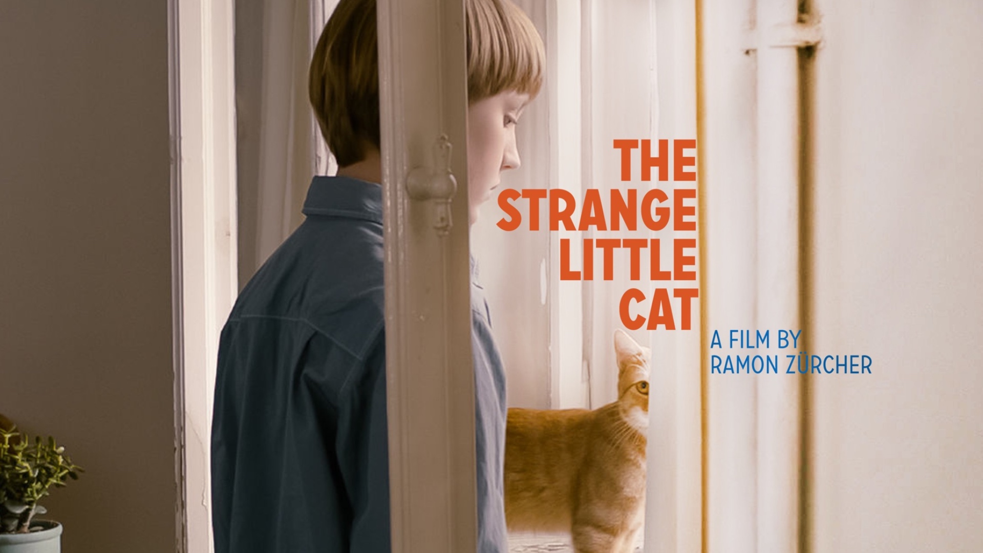 The Strange Little Cat