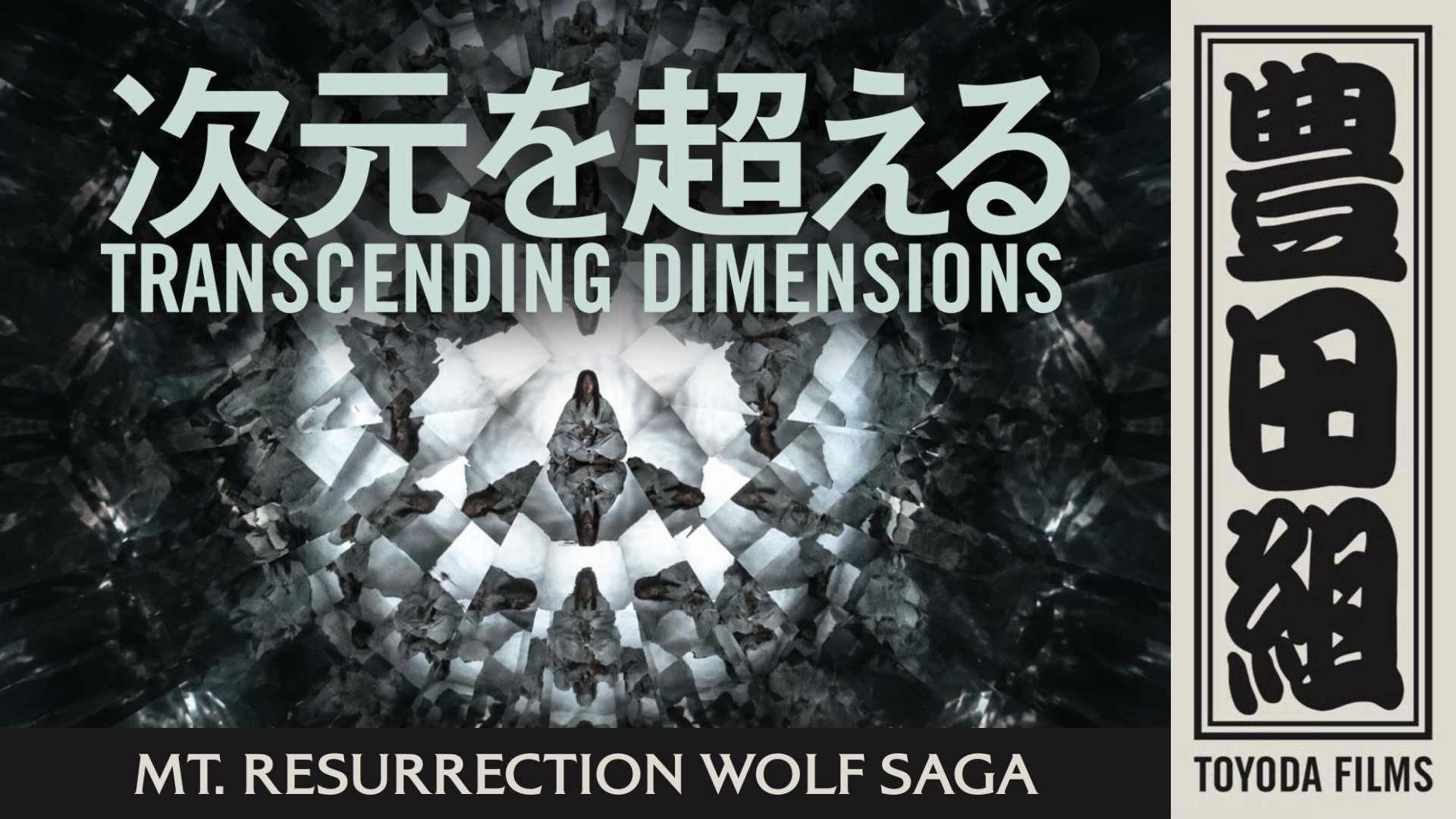 Transcending Dimensions