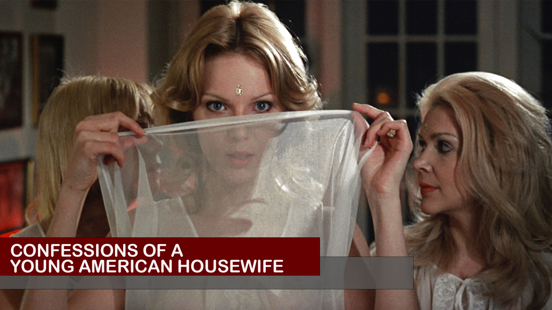 confession of a american housewife
