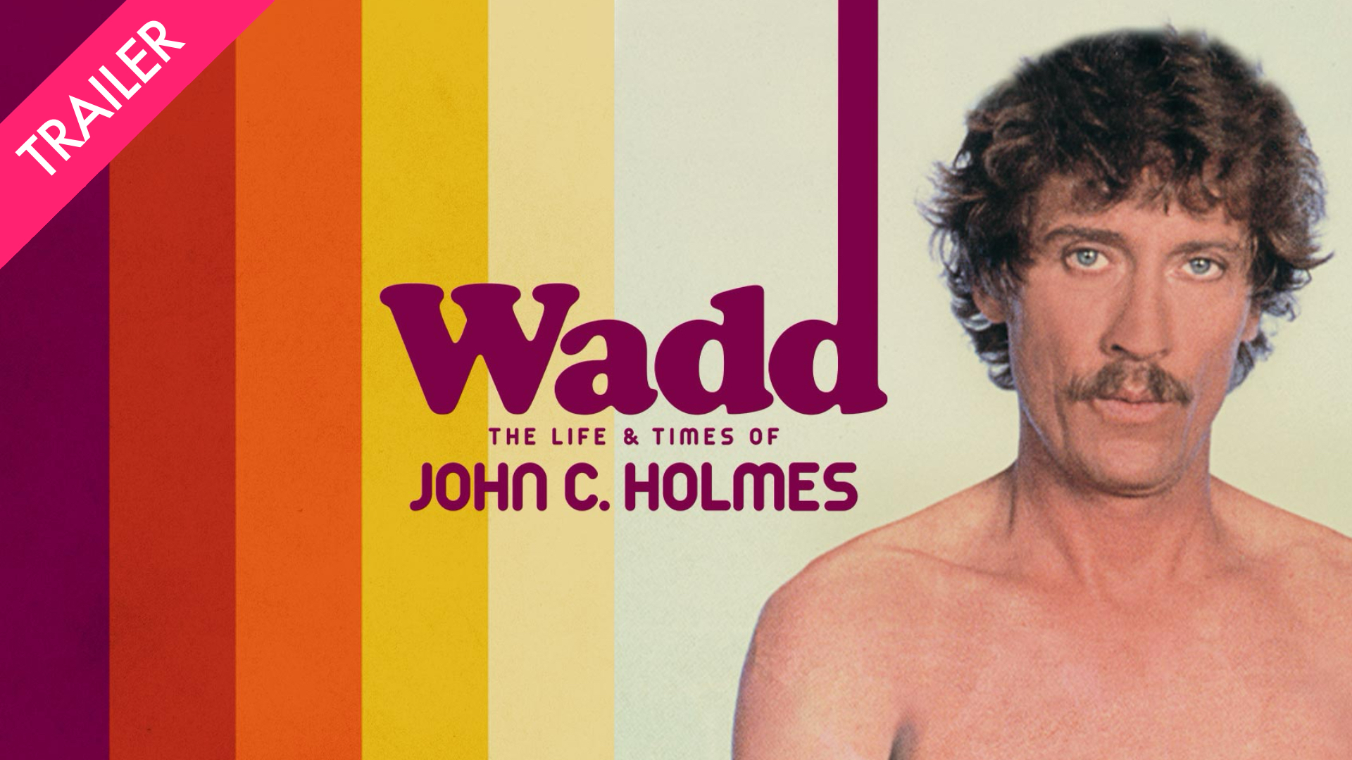 Wadd: The Life & Times of John C. Holmes