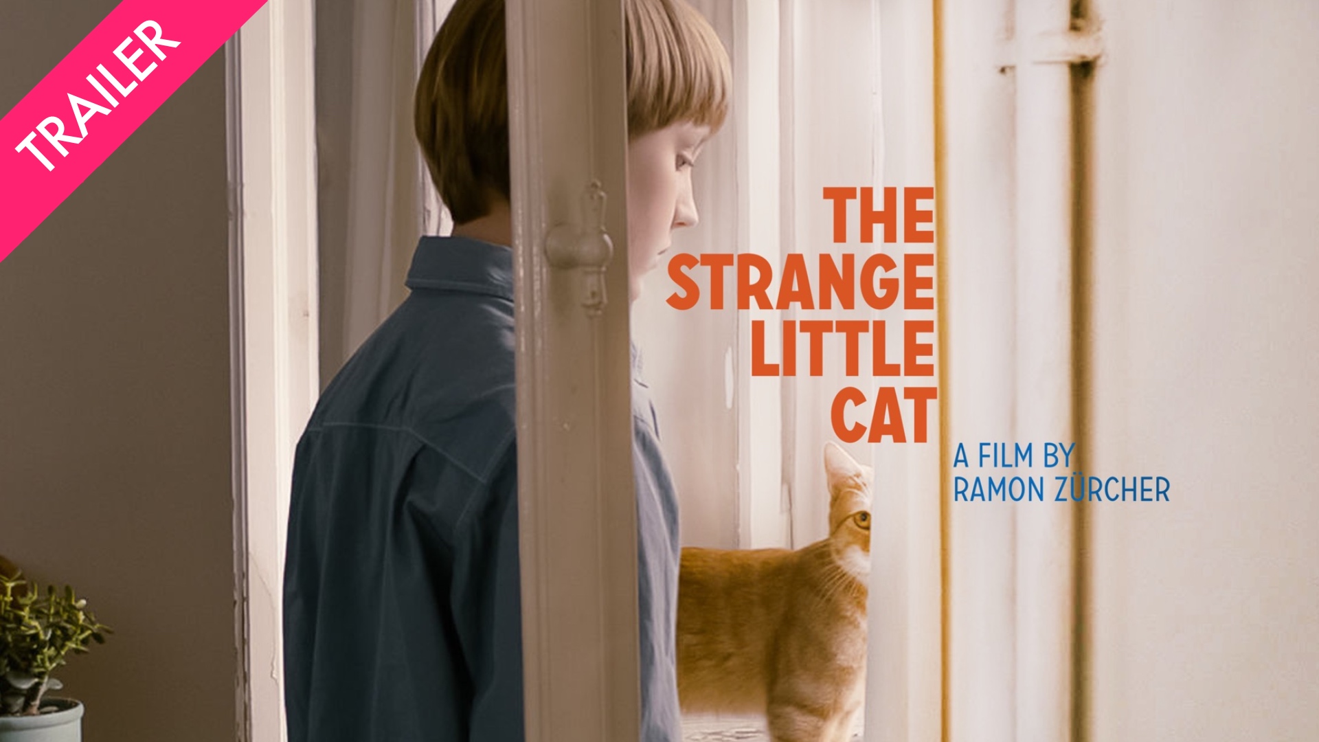 The Strange Little Cat - Coming 8/7