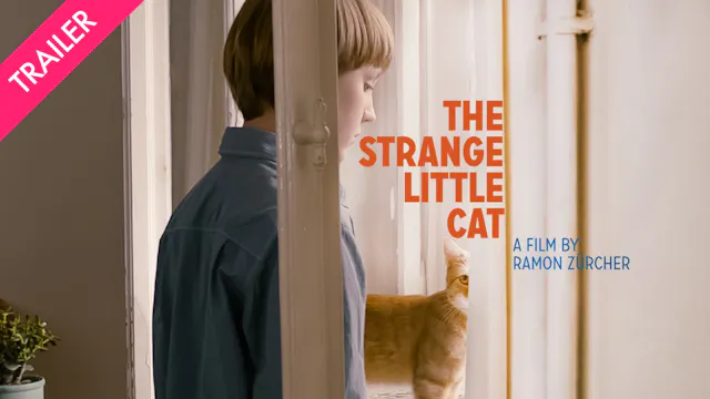 The Strange Little Cat - Coming 8/7