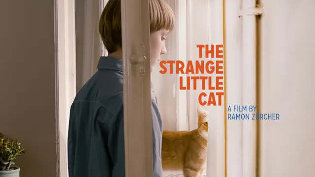 The Strange Little Cat