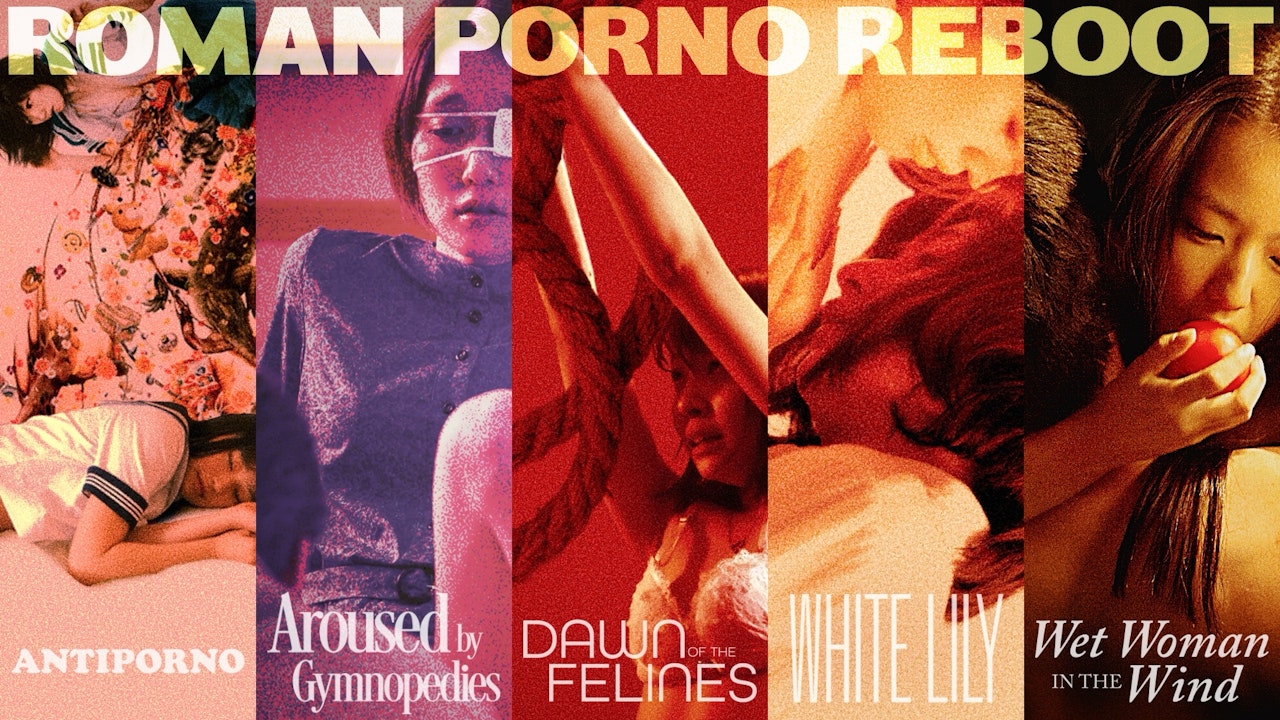 Roman Porno Reboot