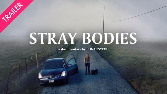 Stray Bodies - Coming 3/6