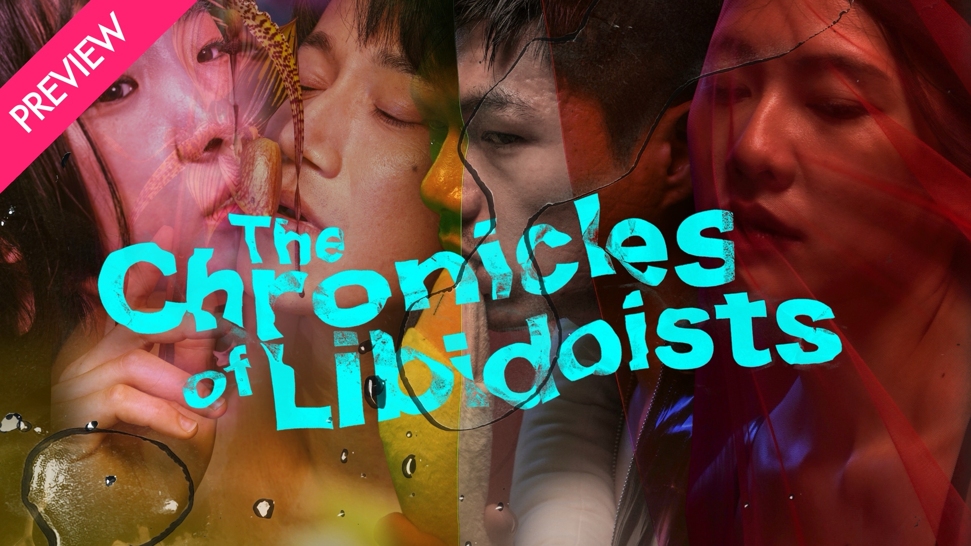 The Chronicles of Libidoists - Coming 7/31