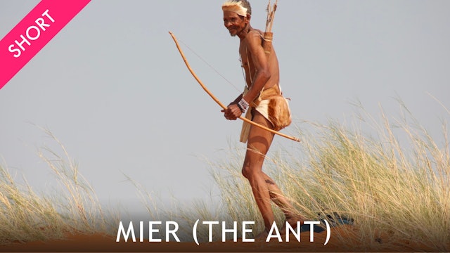 Mier (The Ant)