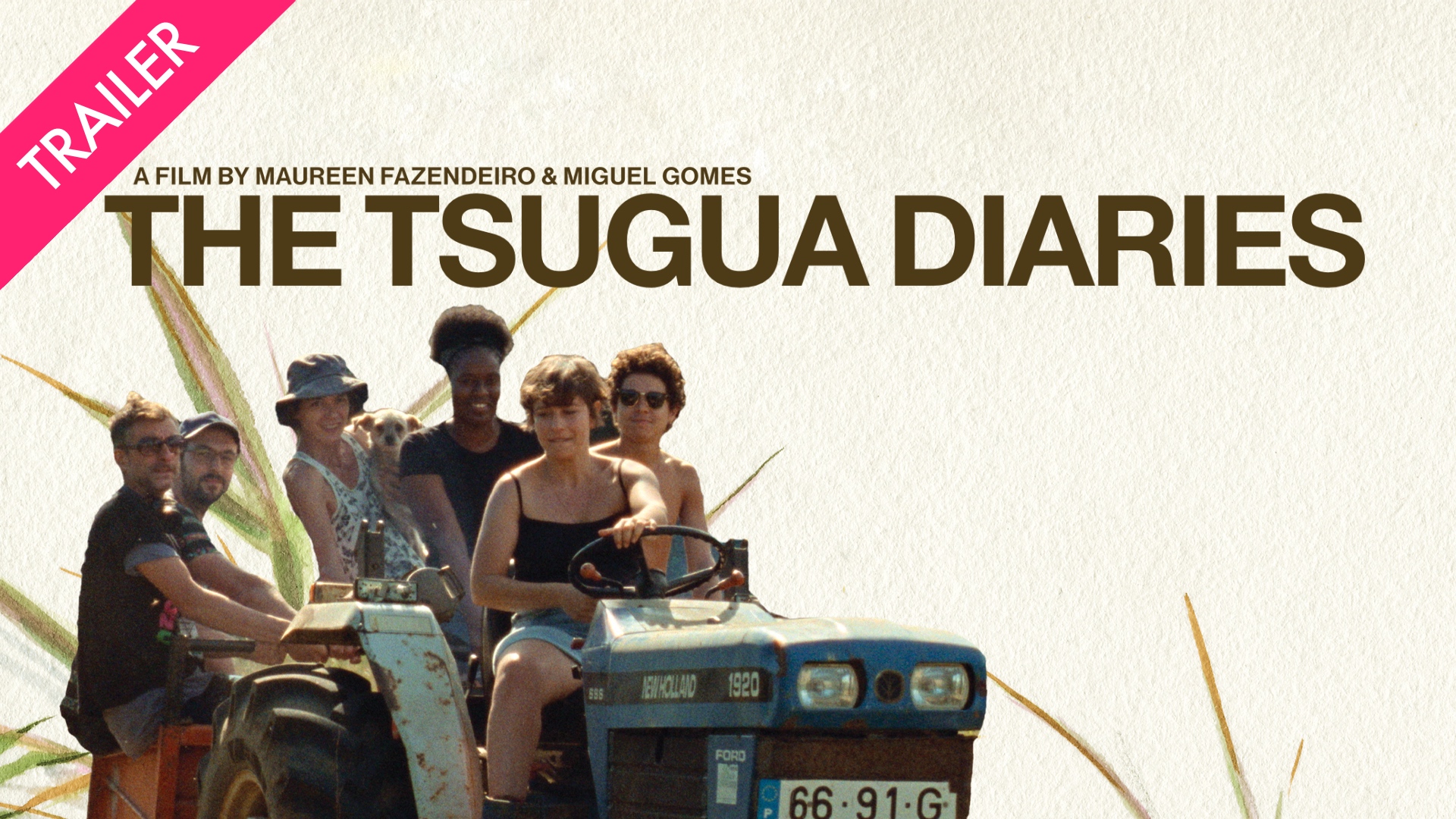 The Tsugua Diaries - Coming 1/30