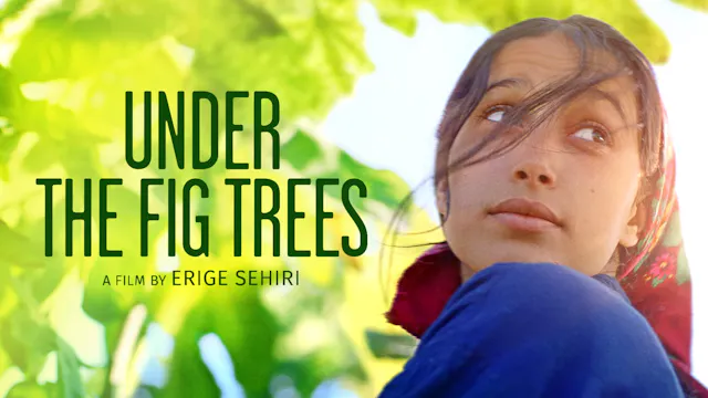 Under the Fig Trees