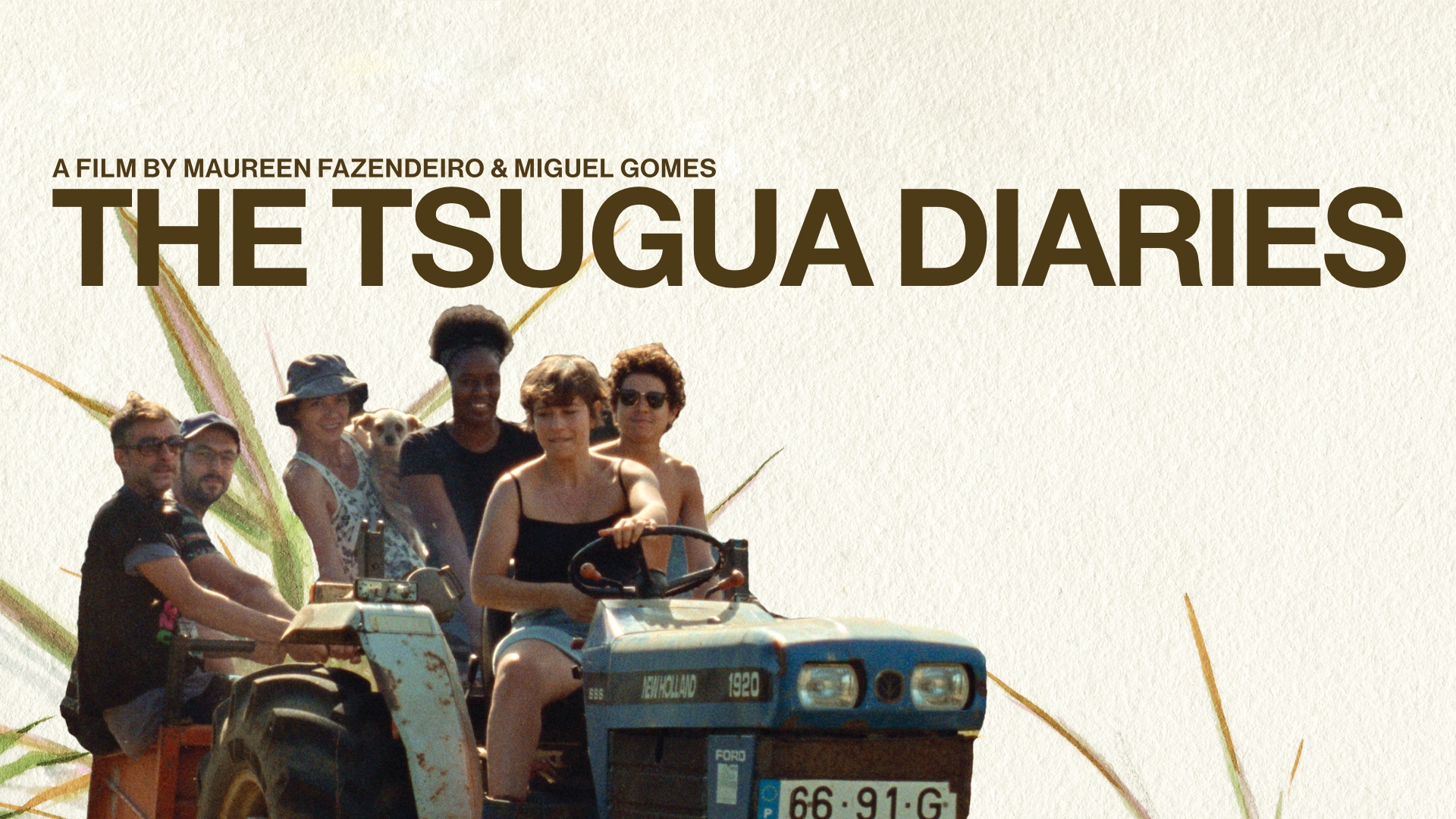 The Tsugua Diaries