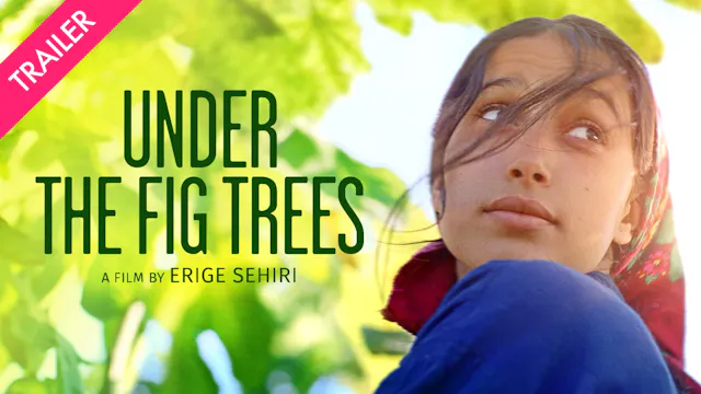 Under the Fig Trees - Coming 7/17