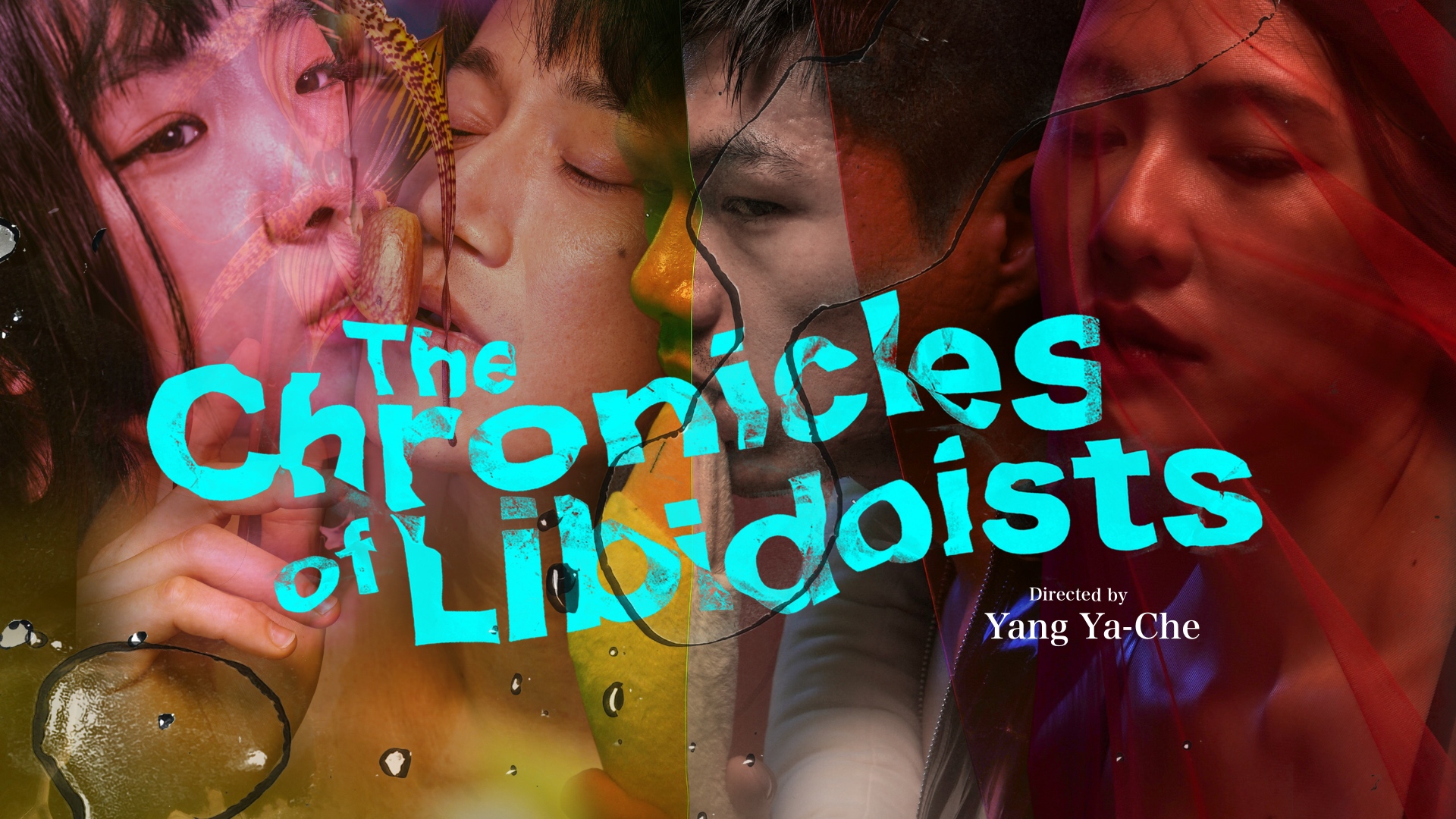 The Chronicles of Libidoists