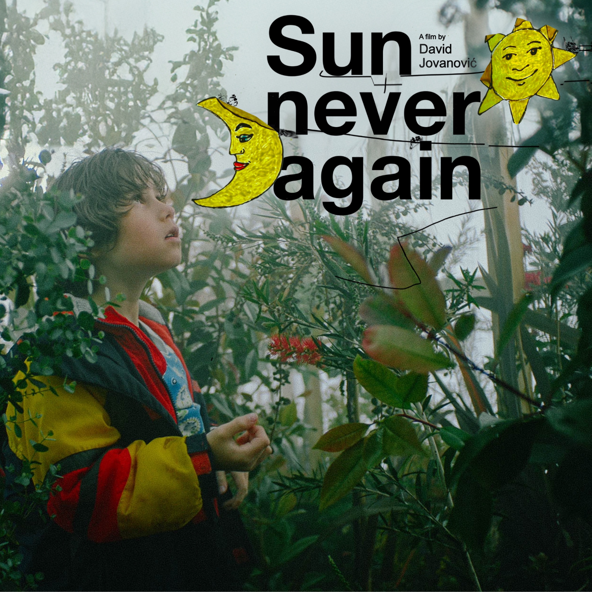 Sun Never Again