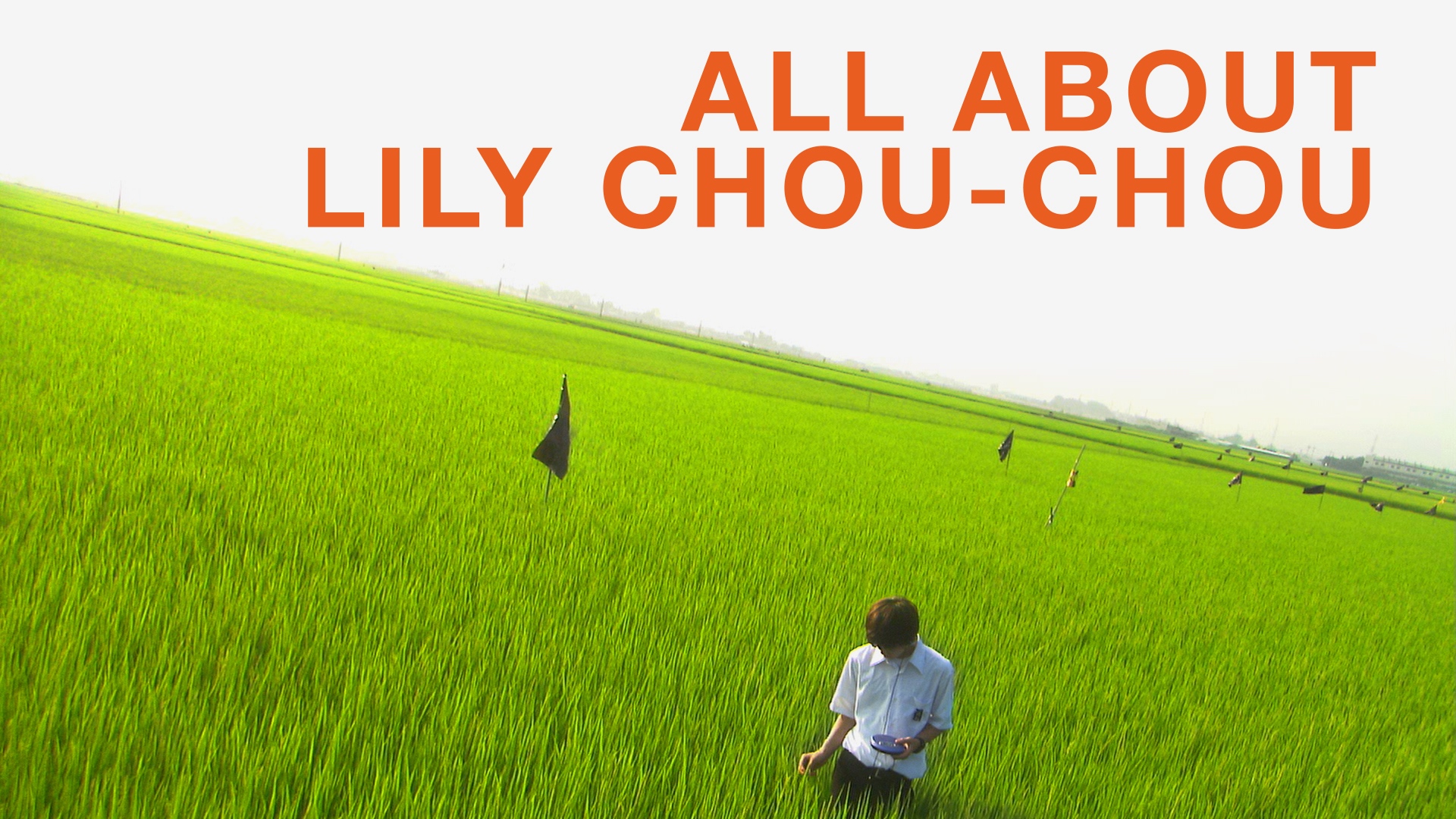 all about lily chou chou subtitles english yts