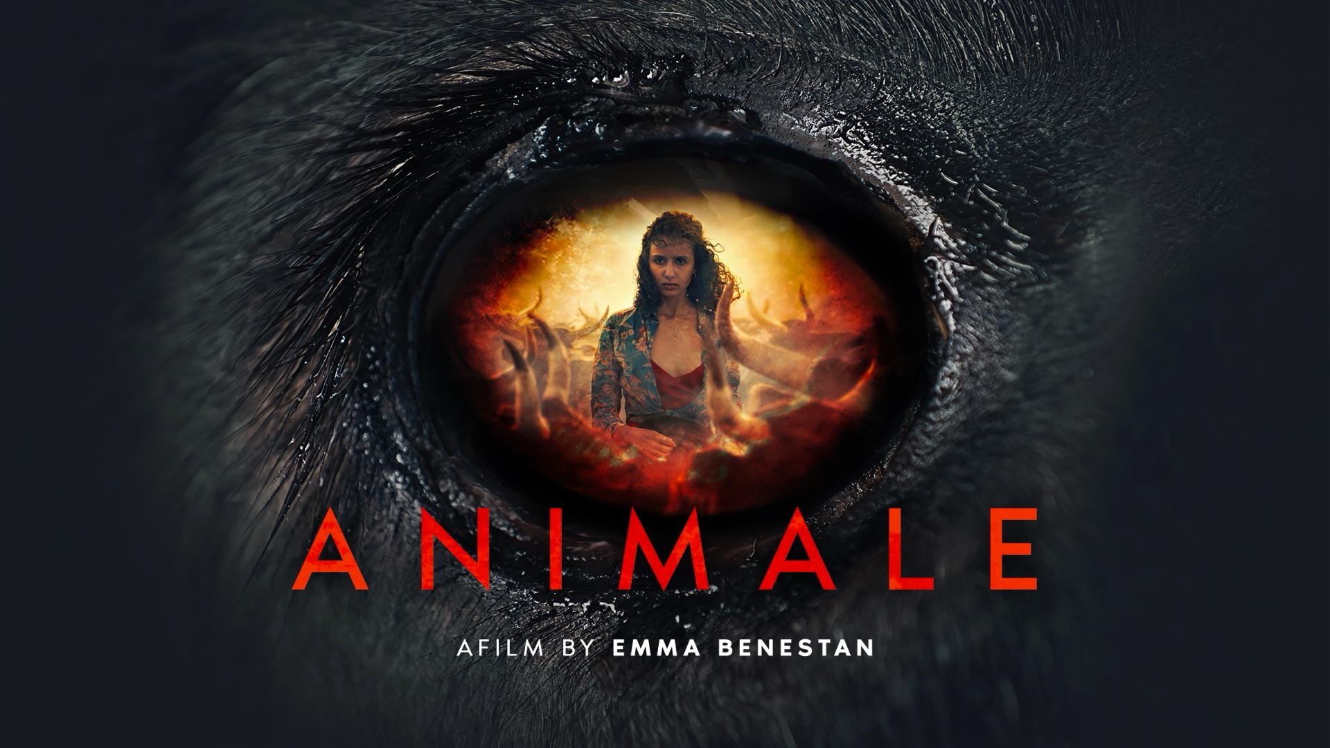 Animale
