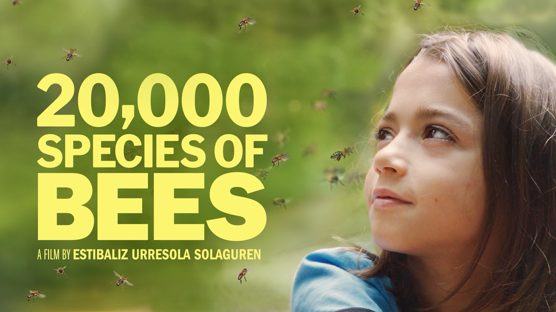 20,000 Species of Bees