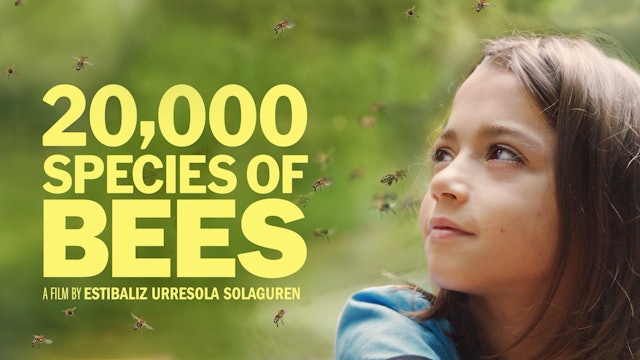 20,000 Species of Bees