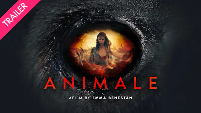 Animale - Coming 10/23