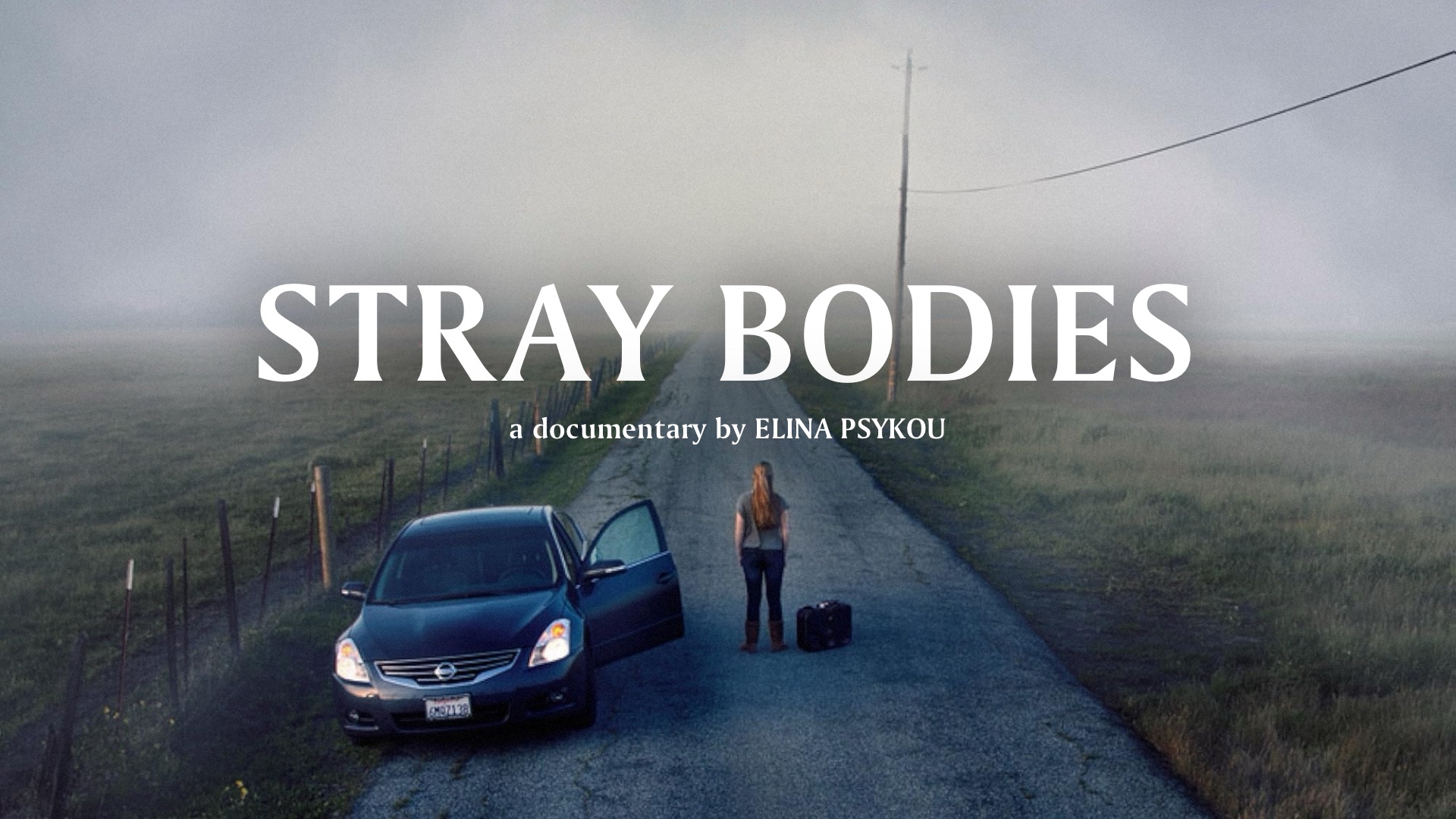Stray Bodies