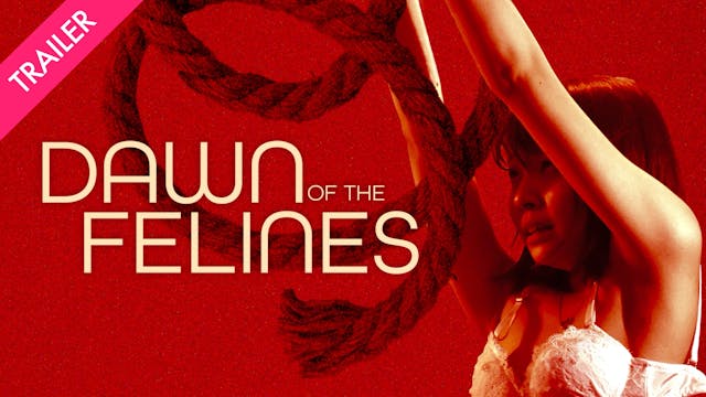 Dawn of the Felines - Coming 9/12