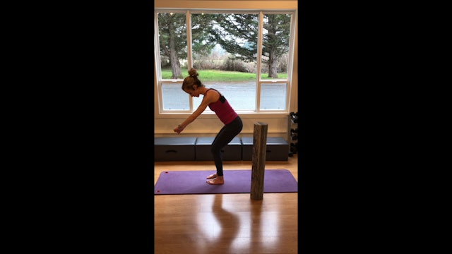 Restorative Mat Pilates - no props