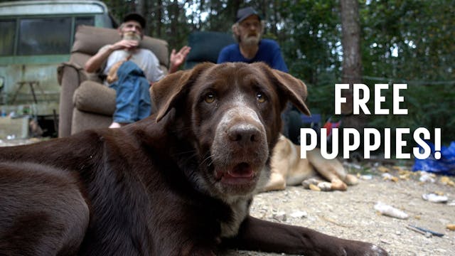 FREE PUPPIES! - Feature Documentary