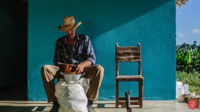 Cuban Food Stories