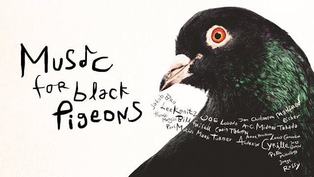 Music for Black Pigeons