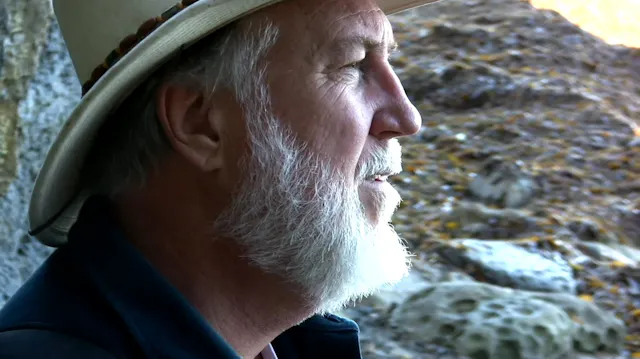 Alone on the Island of the Blue Dolphins