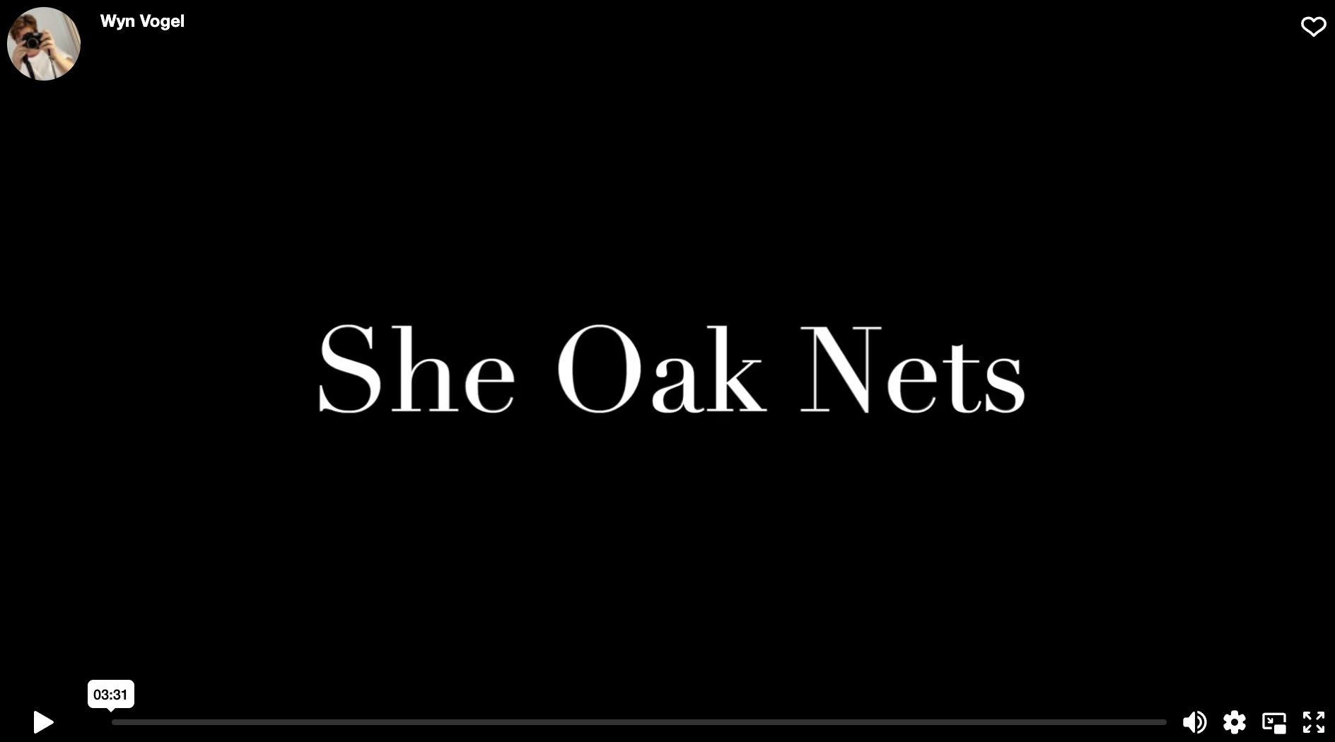 She Oak Nets - Walkerville Sth Beach