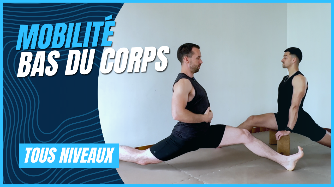 Mobilité Bas du Corps