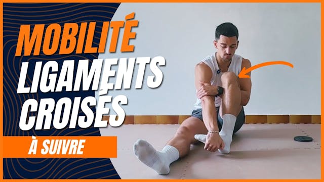 Routine - Ligaments Croisés