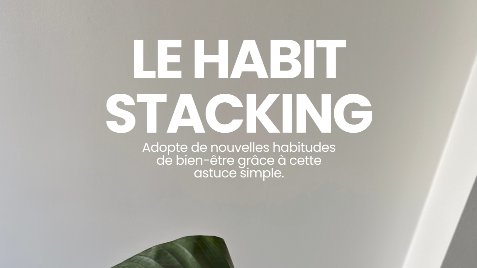 GUIDE : Le habit stacking