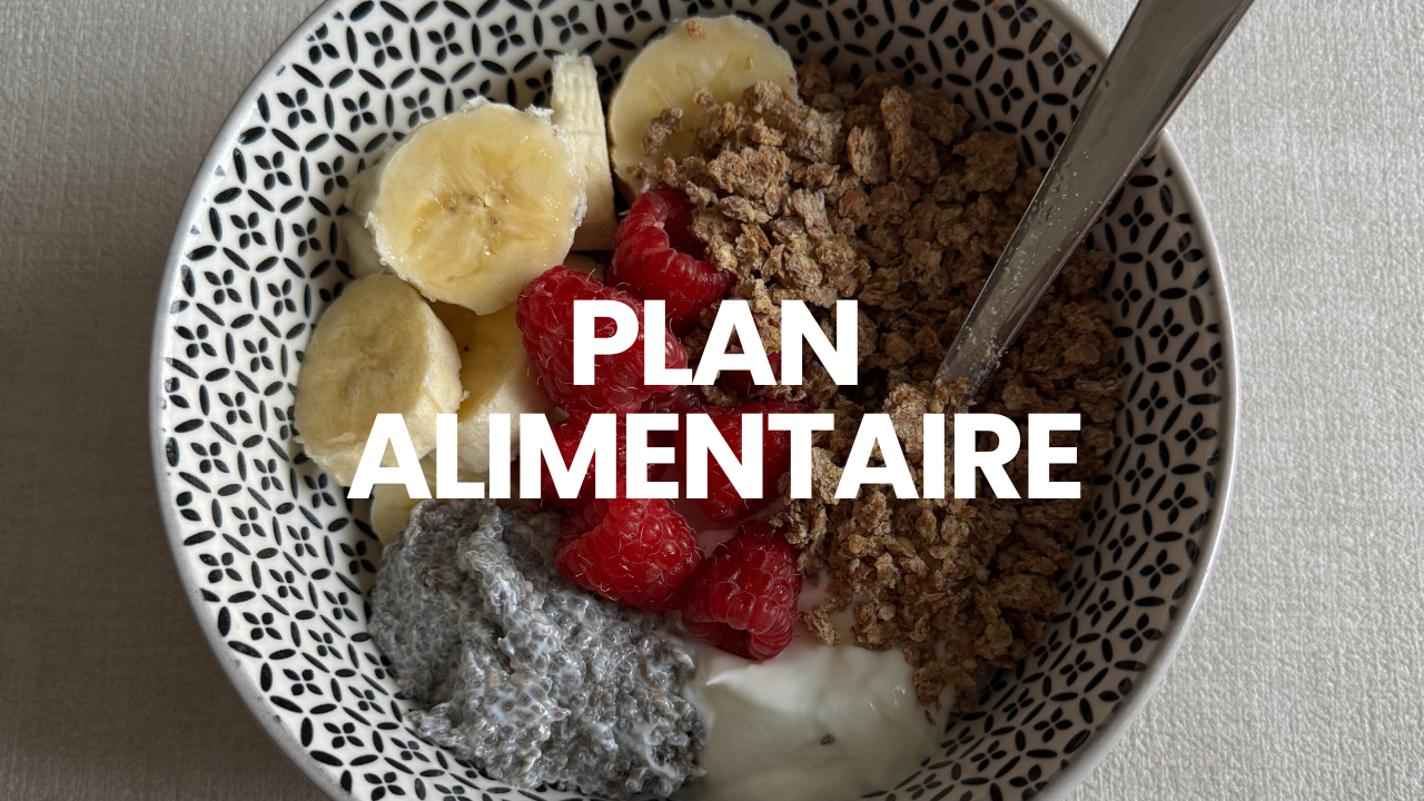 PLAN ALIMENTAIRE