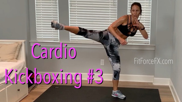 Cardio Kickboxing No.3